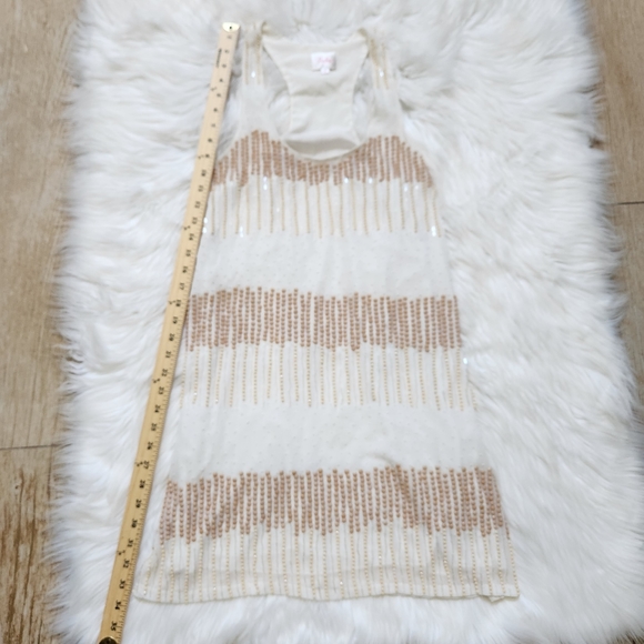 Parker Women’s Tan Cream Beaded Sleeveless Mini Dress Size M - Picture 17 of 17